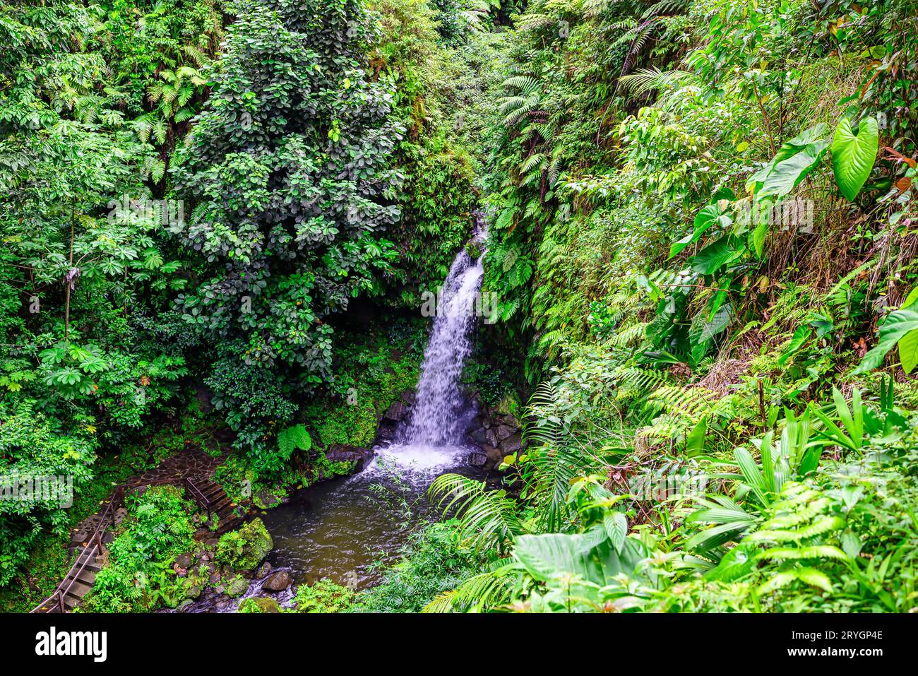 One of the most popular spots on the Caribbean island of Dominica is ...