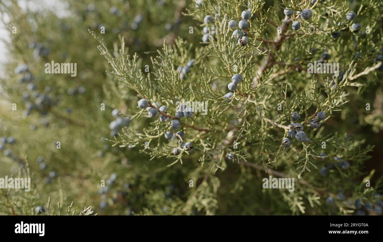 120fps slow motion hi-res stock photography and images - Alamy