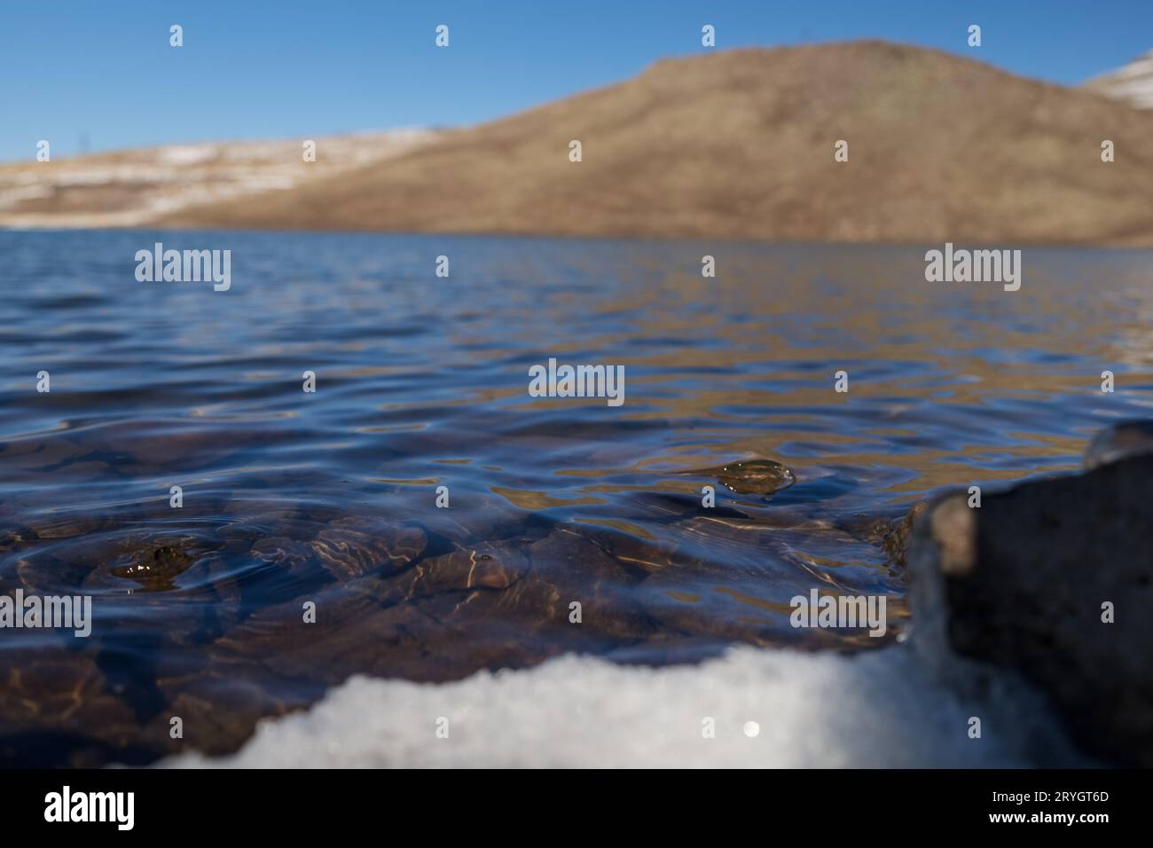 Kari lake hi-res stock photography and images - Alamy