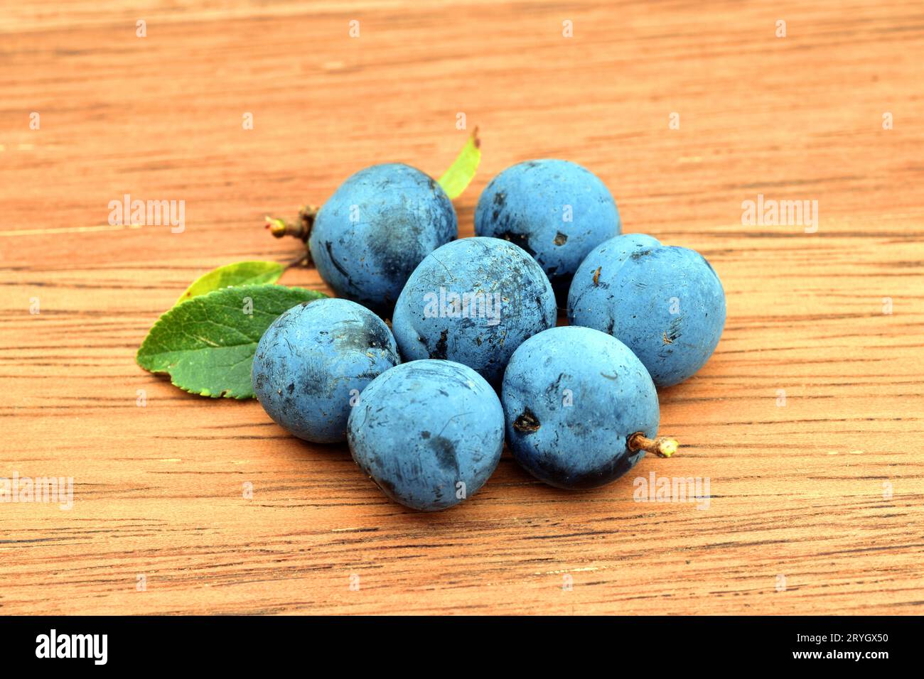 Fruits of the damson (Prunus domestica subsp. insititia or Prunus insititia) on a wooden table. Stock Photo
