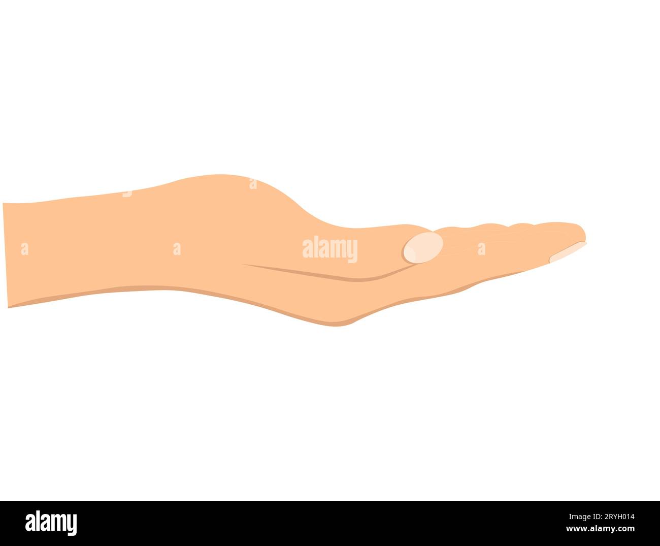 Facing up womans hand isolated on white background. Female open palm up in getting or receiving something gesture, holding, showing, presenting produc Stock Vector