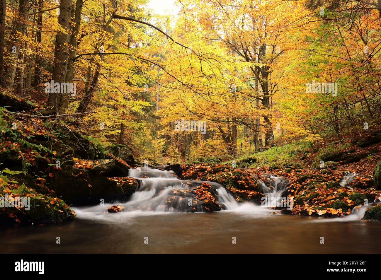 Beautiful forest waterfall river stream hi-res stock photography and ...