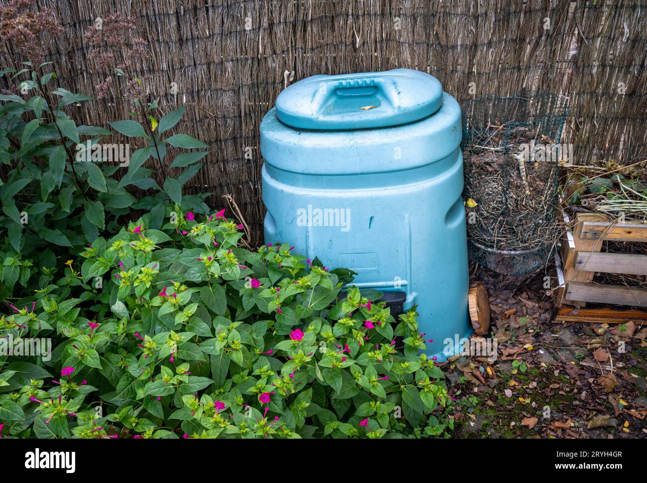 Plastic compost bin in the garden, eco friendly recycling of organic