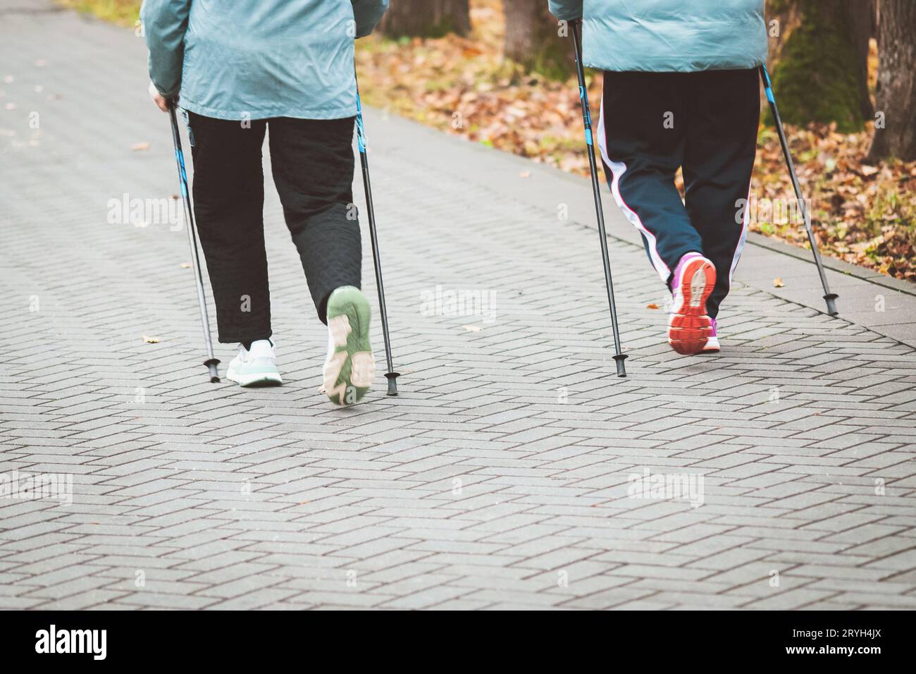 Nordic walking in autumn, senior women exercising outdoors Stock Photo