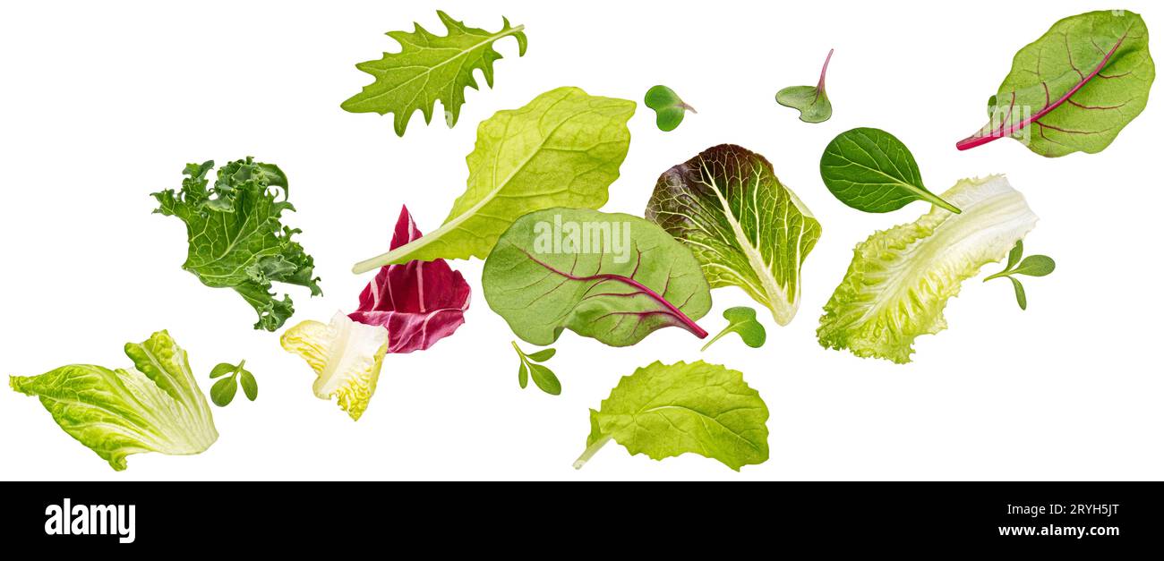Falling salad leaves isolated on white background with clipping path Stock Photo