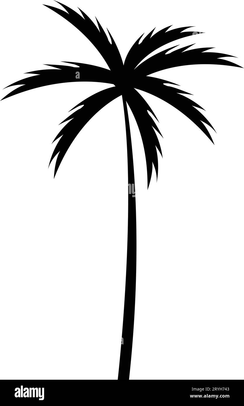 Tropical palm tree and leaf silhouette. Black palm tree. Design of palm