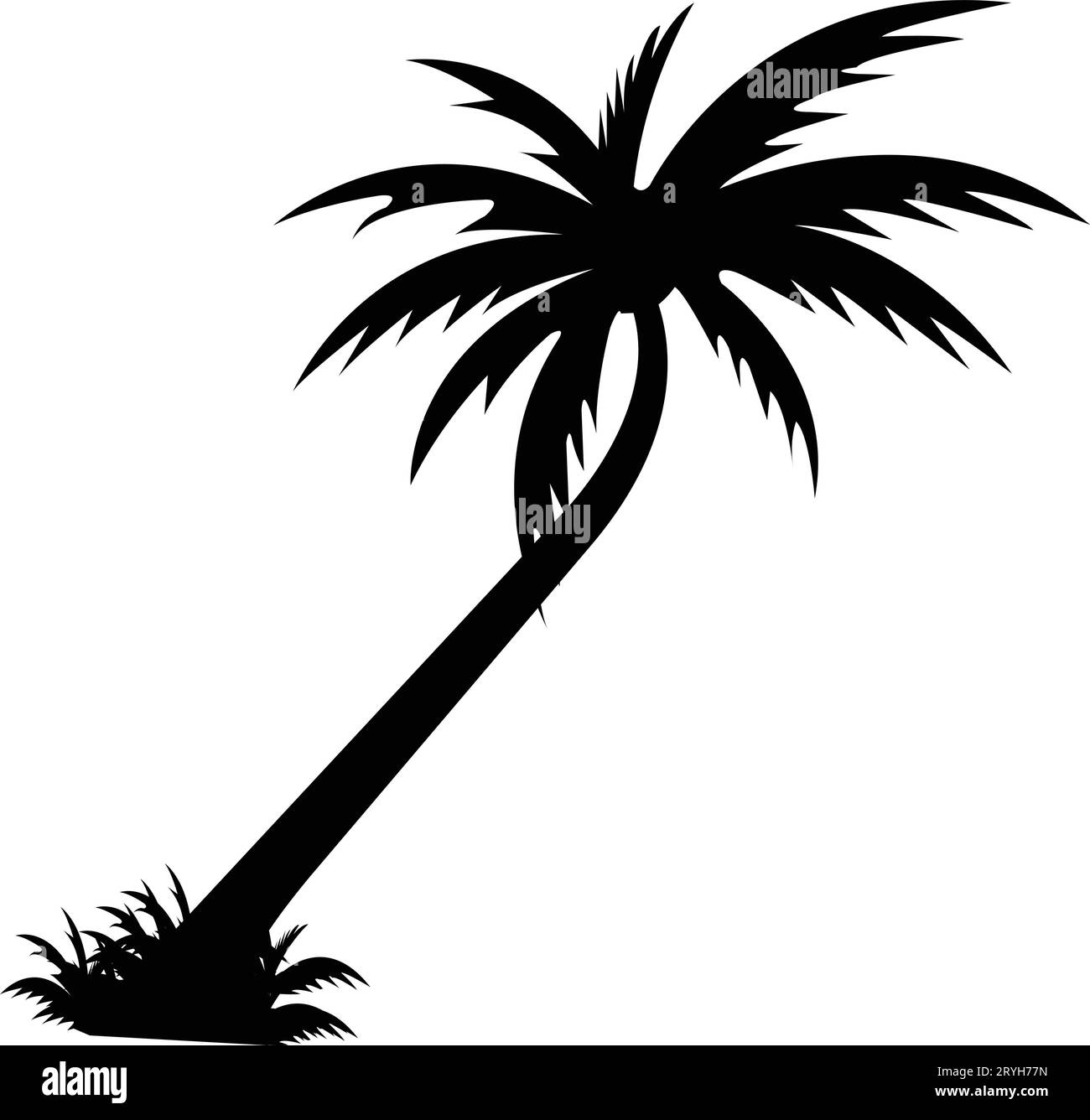 Tropical palm tree and leaf silhouette. Black palm tree. Design of palm