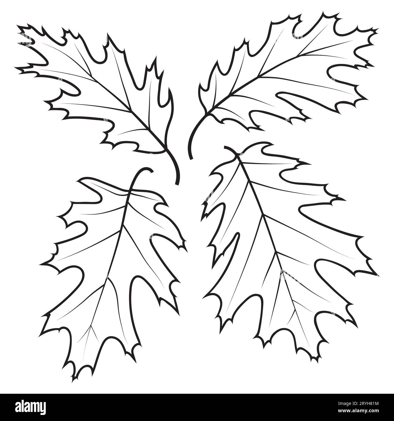 Northern Red Oak tree leaves, vector illustration isolated on white background. Oak leaf outlines, coloring page. Stock Vector