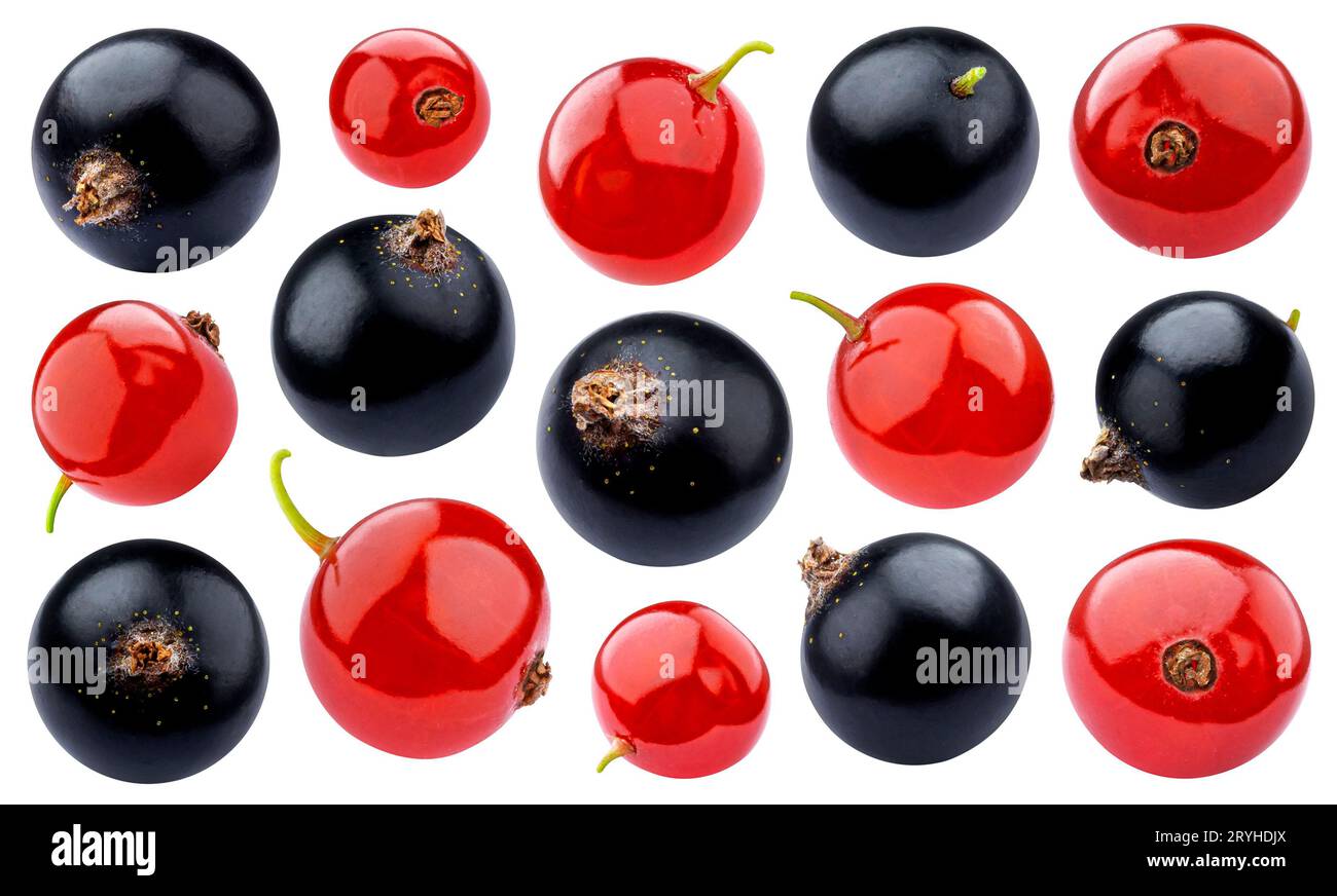 Black and red currant isolated on white background Stock Photo
