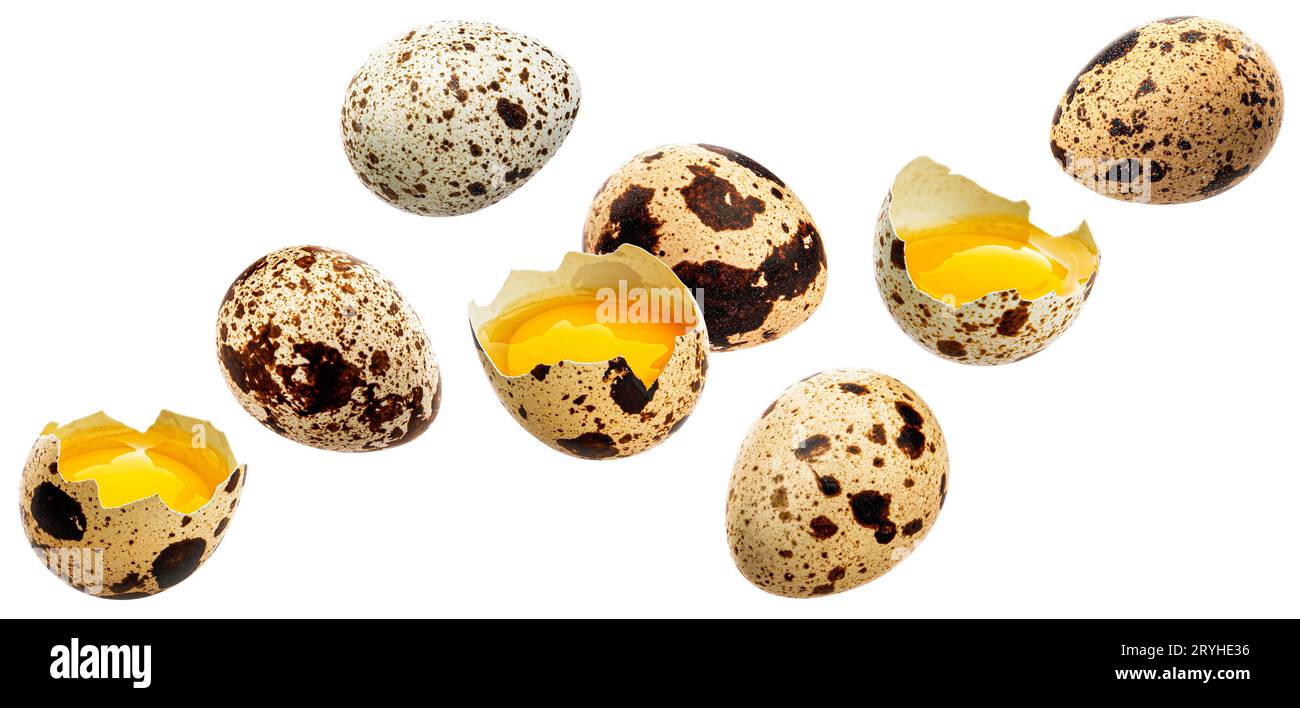 Falling quail eggs isolated on white background Stock Photo