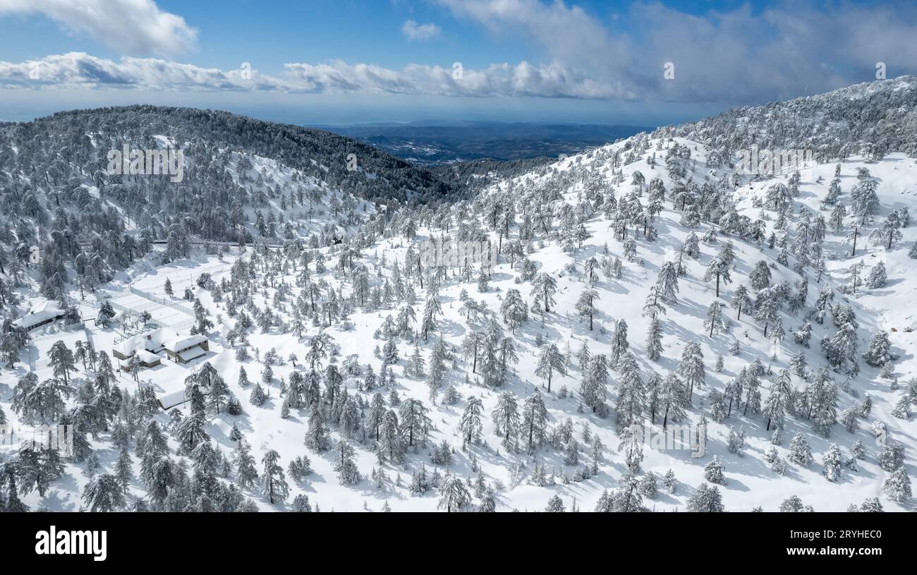 Aerial view snowy forest people hi-res stock photography and images - Alamy