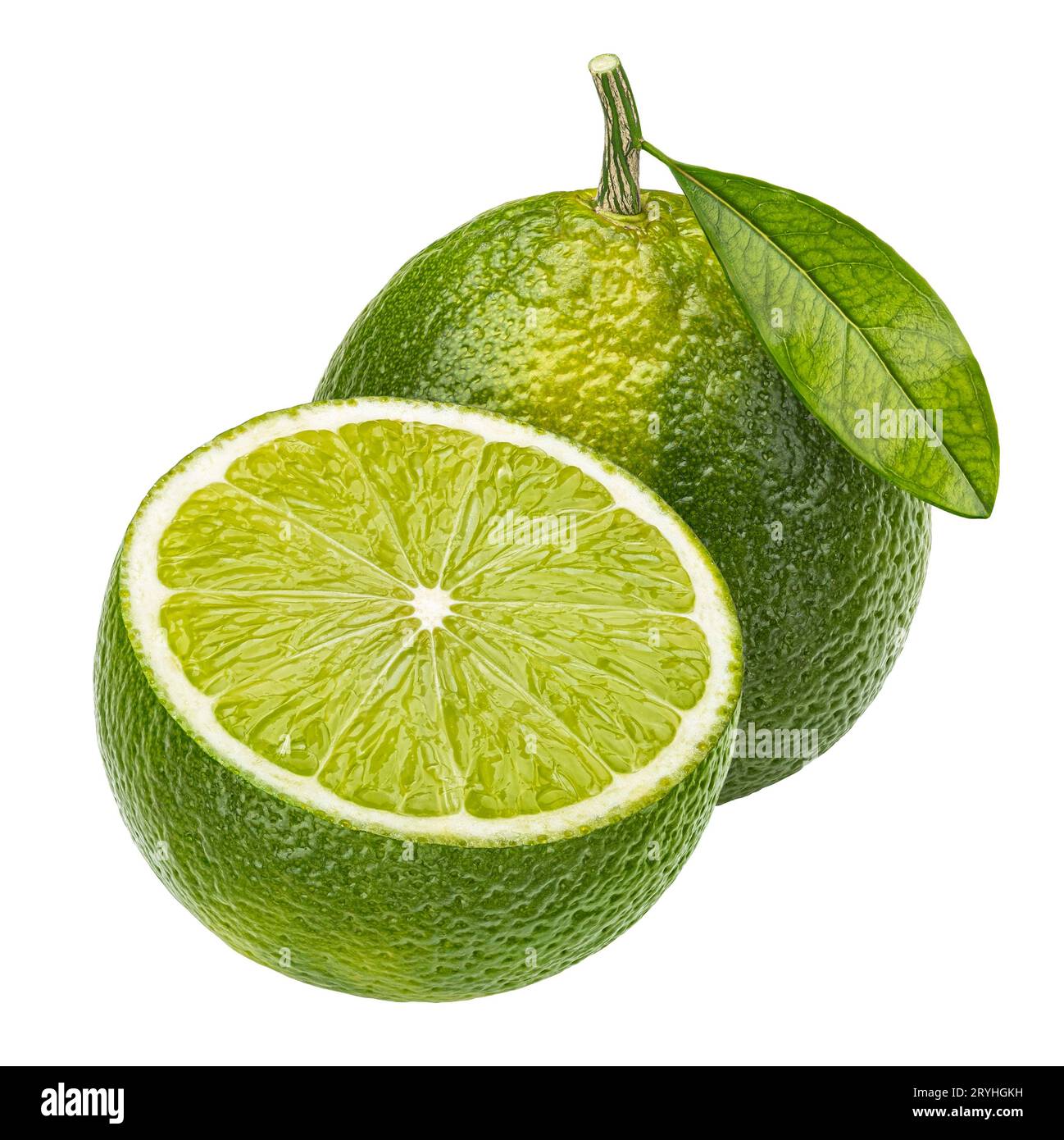 Lime citrus fruit isolated on white background Stock Photo