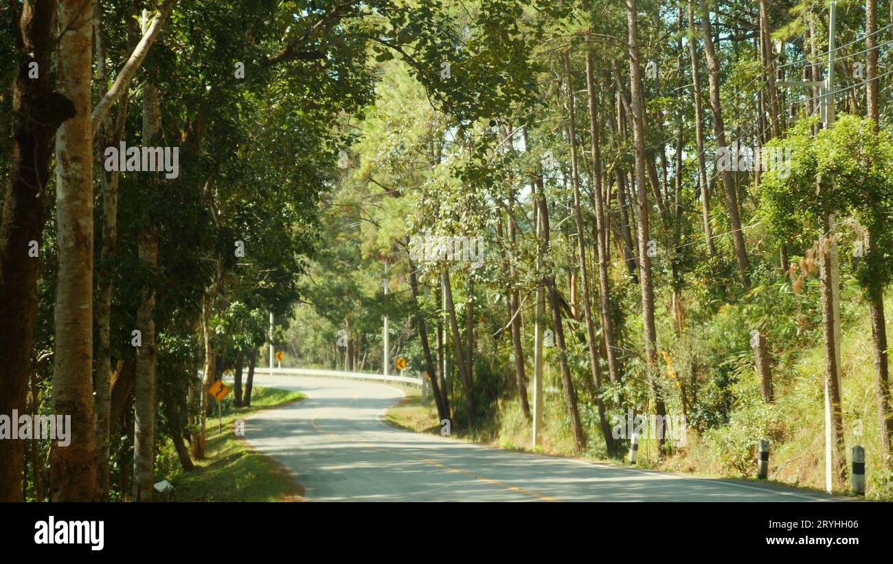 Empty asphalt road with yellow markings winds through lush green forest ...