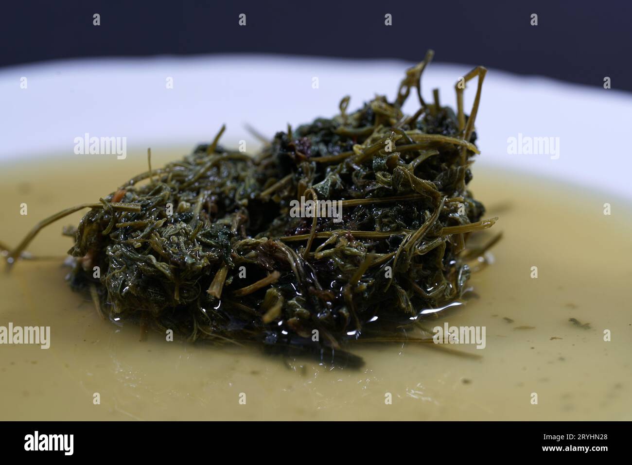 Jiaogulan herb tea is called the herb of the immortals and drunk as a
