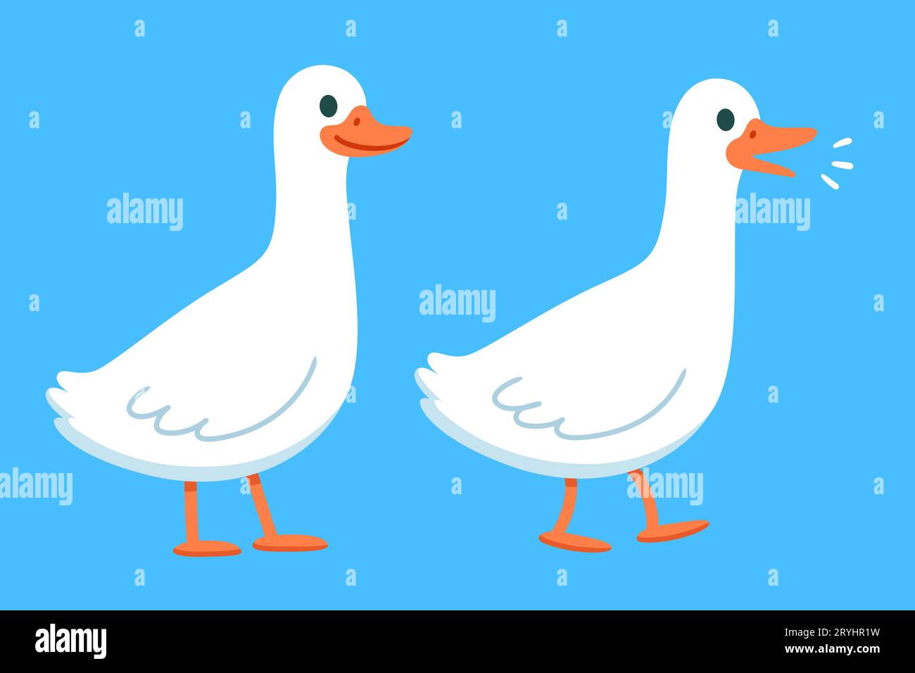 Cute cartoon goose standing and walking. Simple white goose drawing, vector illustration. Stock Vector