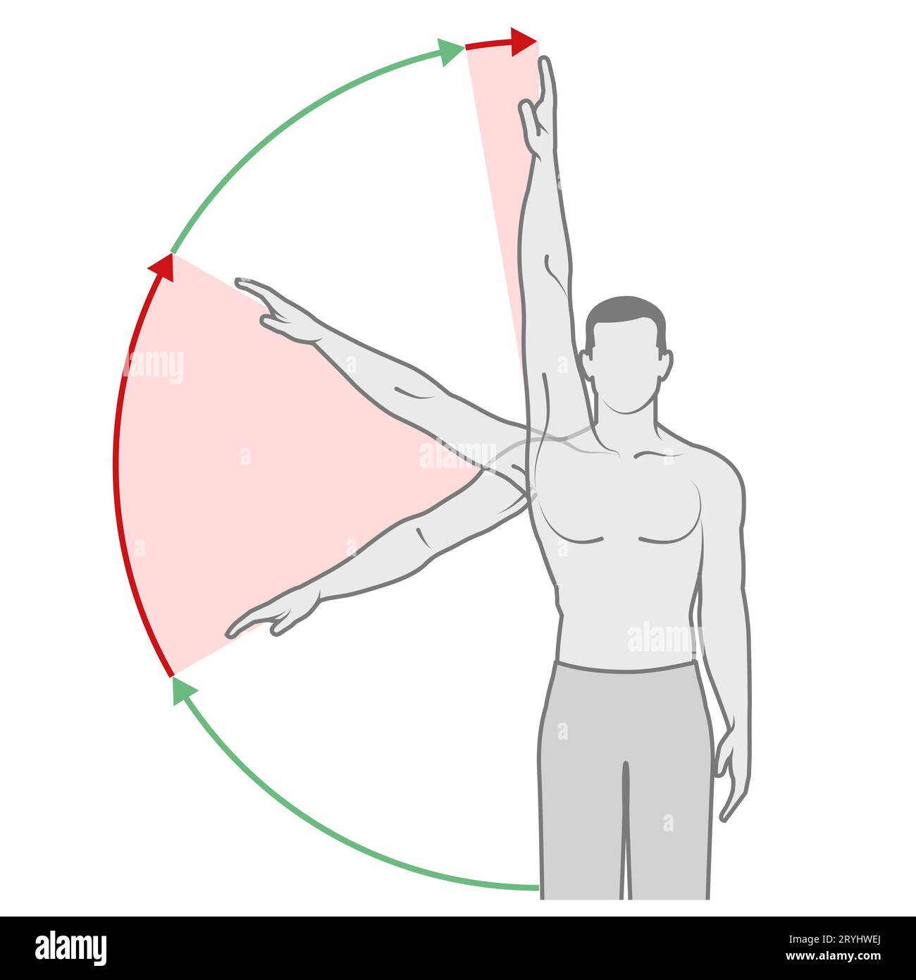 Abduction of shoulder joint hi-res stock photography and images - Alamy