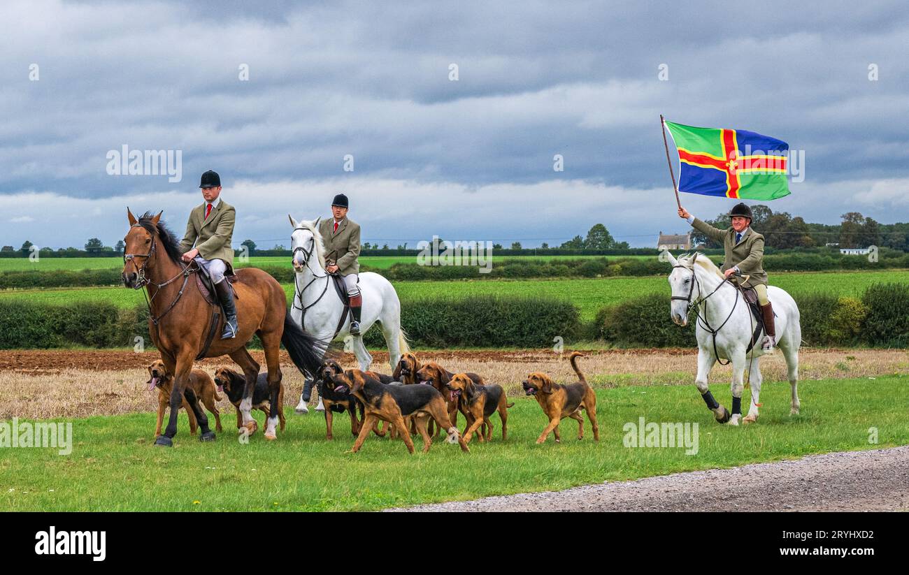 Temple Bruer, Lincoln, Lincolnshire, UK. 1st October 2023.   BEN WILLS, Joint Master, leads the Cranwell Bloodhounds on their season's first training meet.  He is proudly carrying the Lincolnshire flag on Lincolnshire Day (1st October). This Lincolnshire-based pack of bloodhounds chase a cross-country runner during their Sunday meets. Stock Photo
