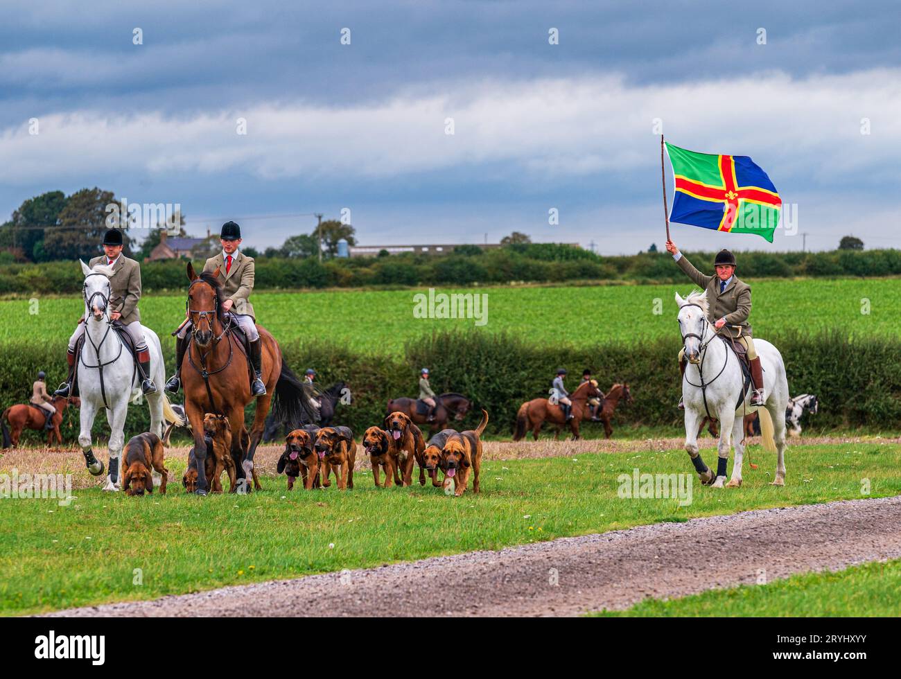 Temple Bruer, Lincoln, Lincolnshire, UK. 1st October 2023.   BEN WILLS, Joint Master, leads the Cranwell Bloodhounds on their season's first training meet.  He is proudly carrying the Lincolnshire flag on Lincolnshire Day (1st October). This Lincolnshire-based pack of bloodhounds chase a cross-country runner during their Sunday meets.   Credit: Matt Limb OBE/Alamy Live News Stock Photo