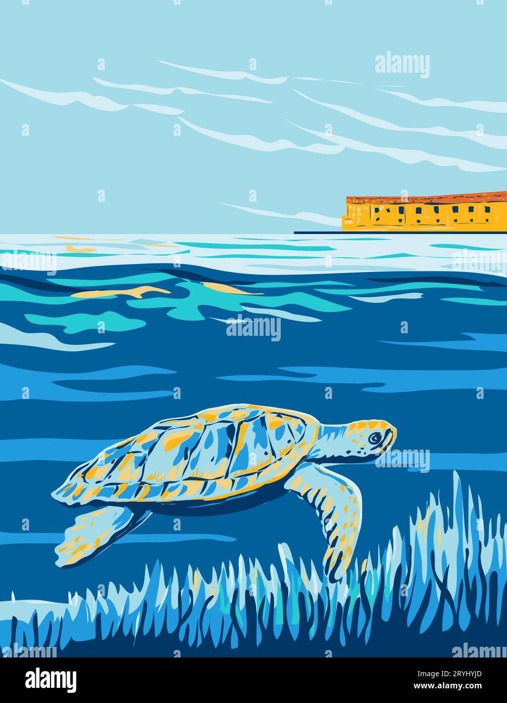Loggerhead Sea Turtle in Dry Tortugas National Park in Florida WPA Poster Art Stock Photo