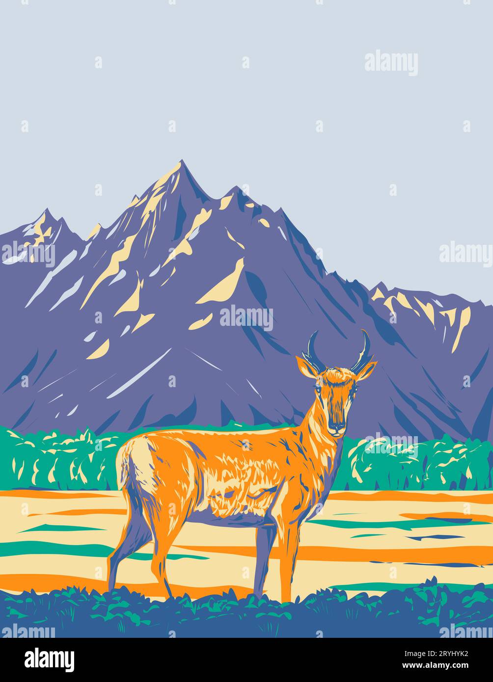 Pronghorn or American Antelope in Grand Teton National Park Wyoming WPA Poster Art Stock Photo