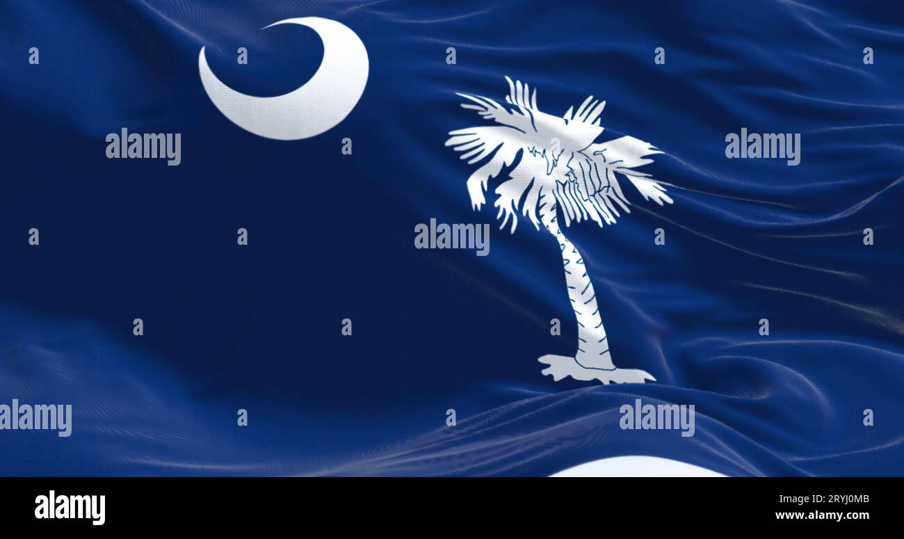 Detail of the South Carolina state flag waving. Blue field with white palmetto tree and crescent