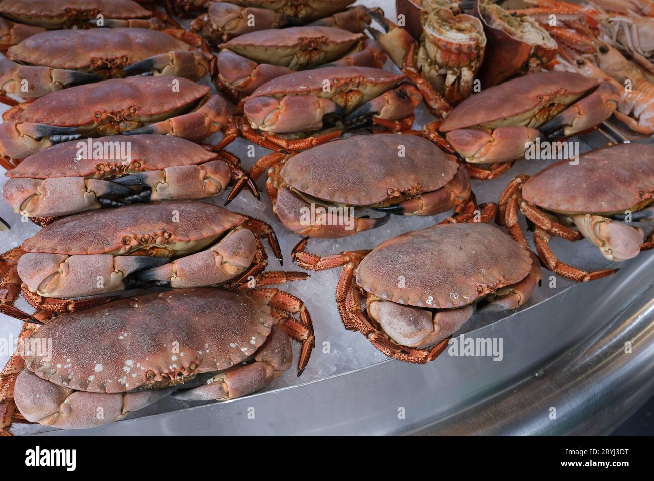 Fresh crabs for sale at fish market in Trouville-sur-Mer, France