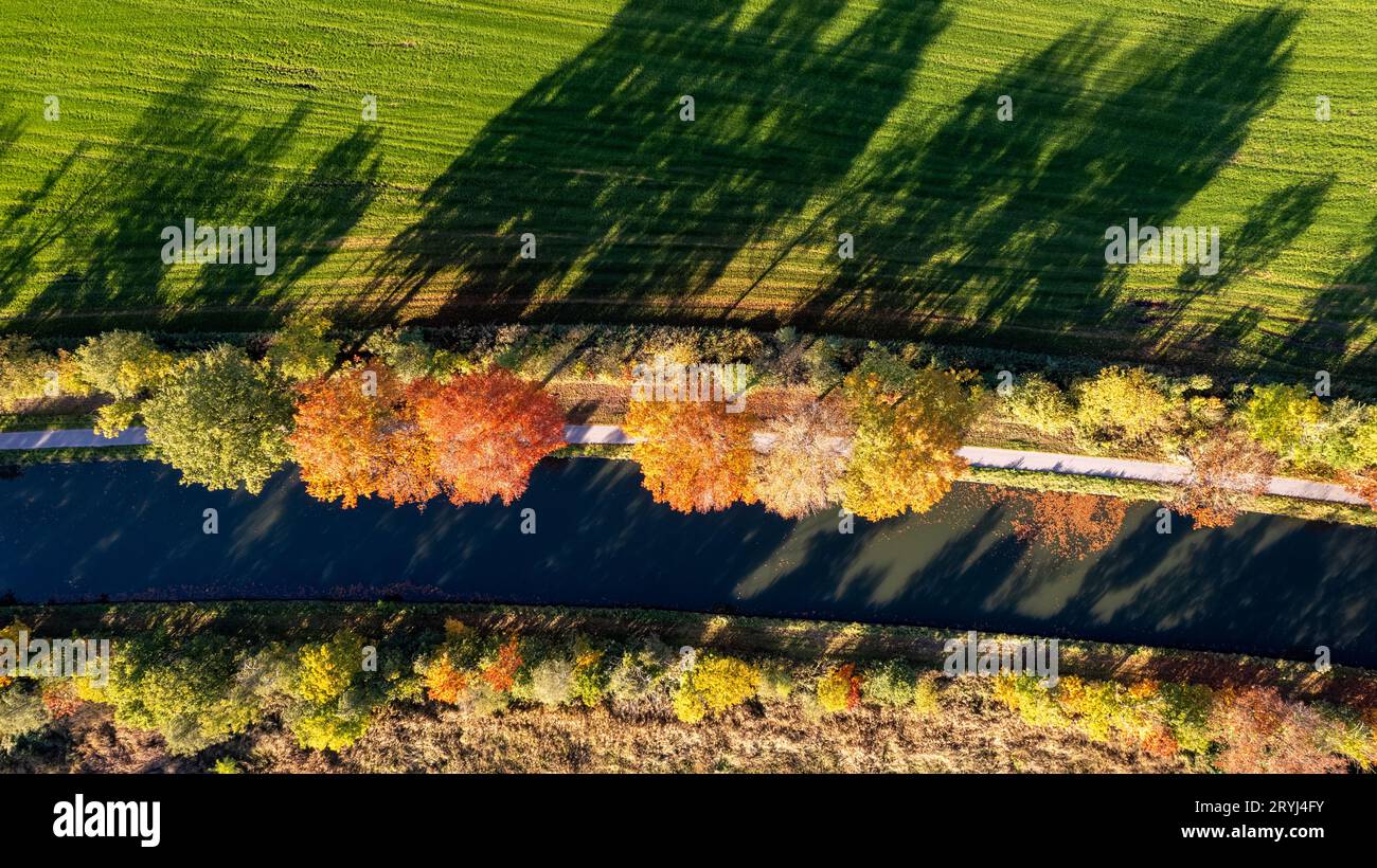 Top down aerial view taken by a drone of the fall colors around the canal Dessel Schoten aerial photo in Rijkevorsel, kempen, Be Stock Photo