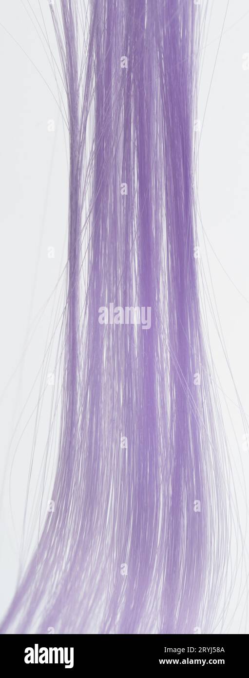 Purple hair long strands isolated on white studio background Stock