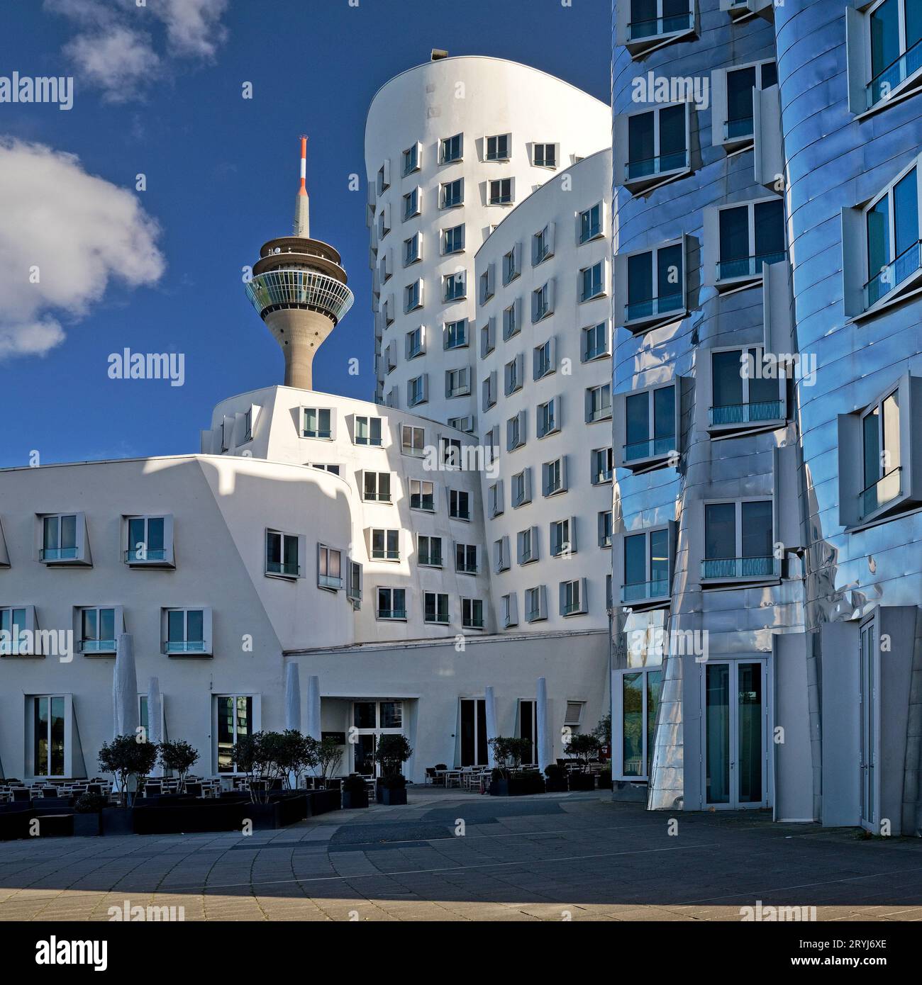 The Neue Zollhof with two Gehry buildings and the Rheinturm, Duesseldorf, Germany, Europe Stock Photo