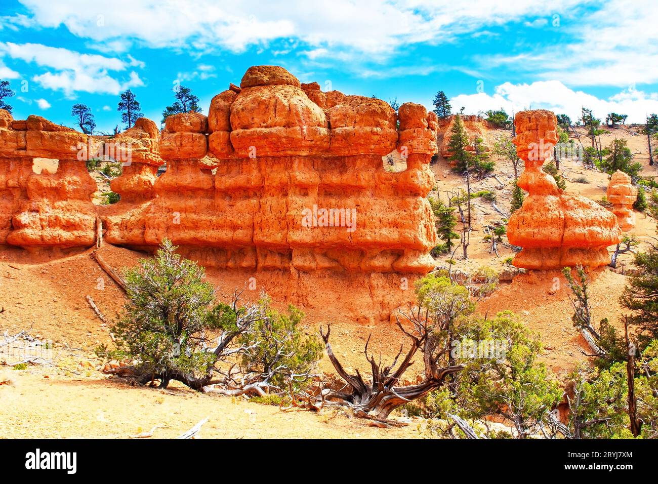 Artistic arches hi-res stock photography and images - Alamy