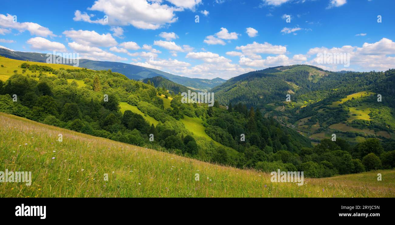 countryside scenery with meadow in mountains. empty grassy pasture on the hill in summer. green hay field landscape on a sunny day. forest on the slop Stock Photo