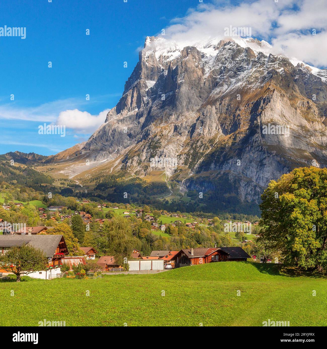 Grindelwald, Switzerland village and mountains view Stock Photo Alamy