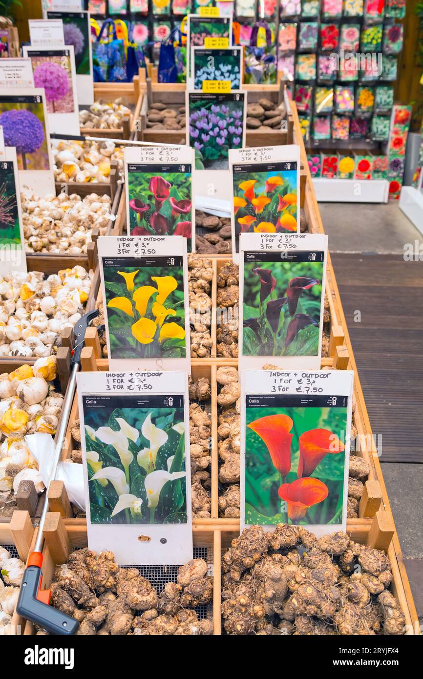 Dutch flower market, people in Amsterdam, Holland Stock Photo Alamy
