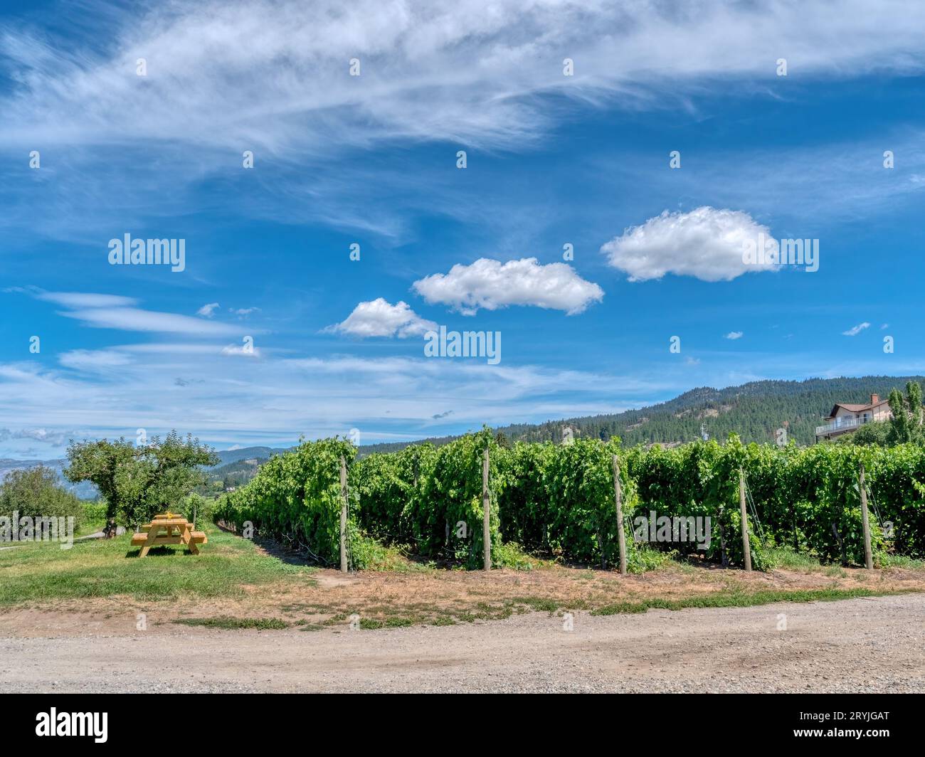 Blue mountain winery hi-res stock photography and images - Alamy