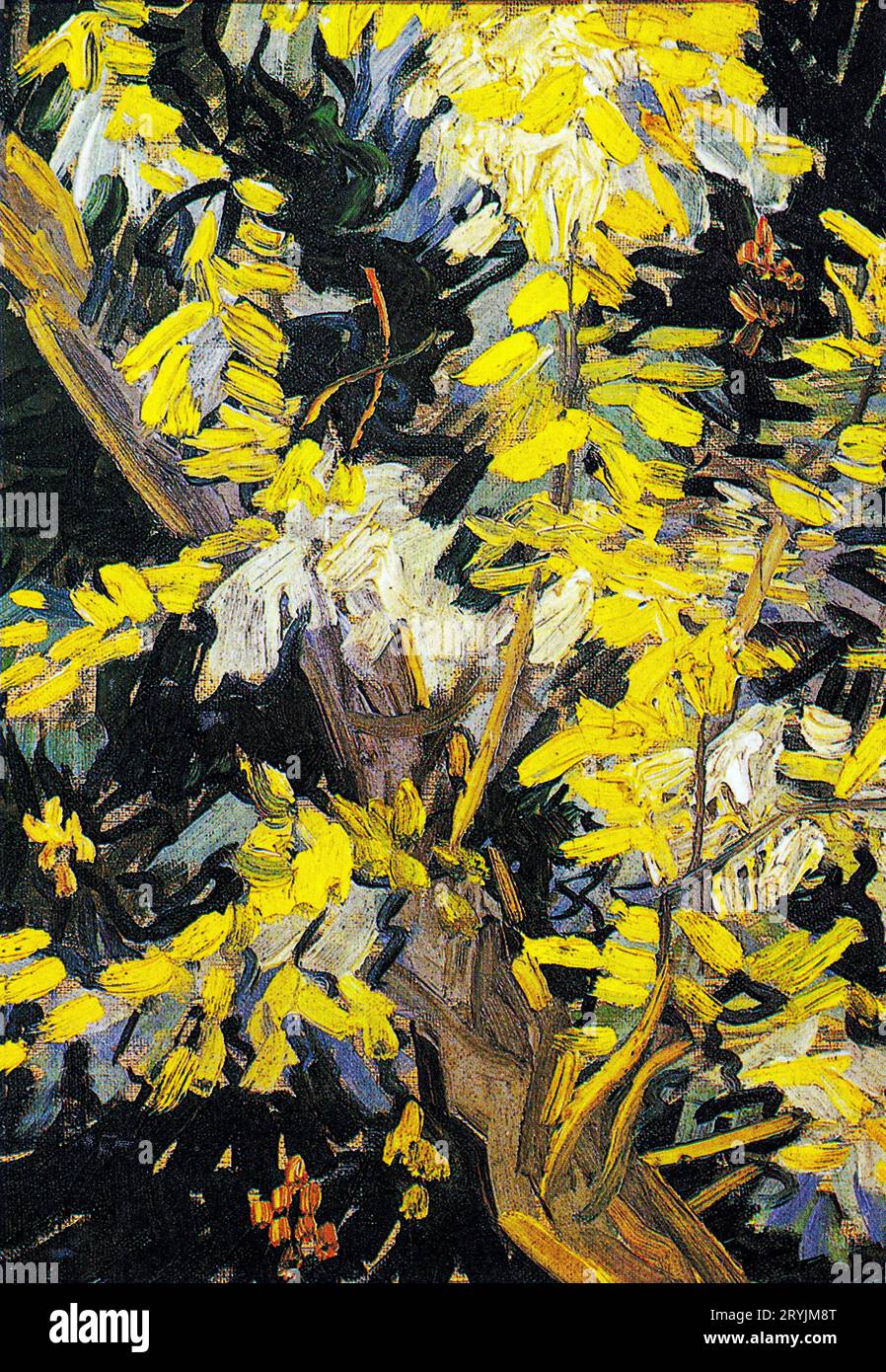 Vincent van Gogh's Blossoming Acacia Branches famous painting. Stock Photo
