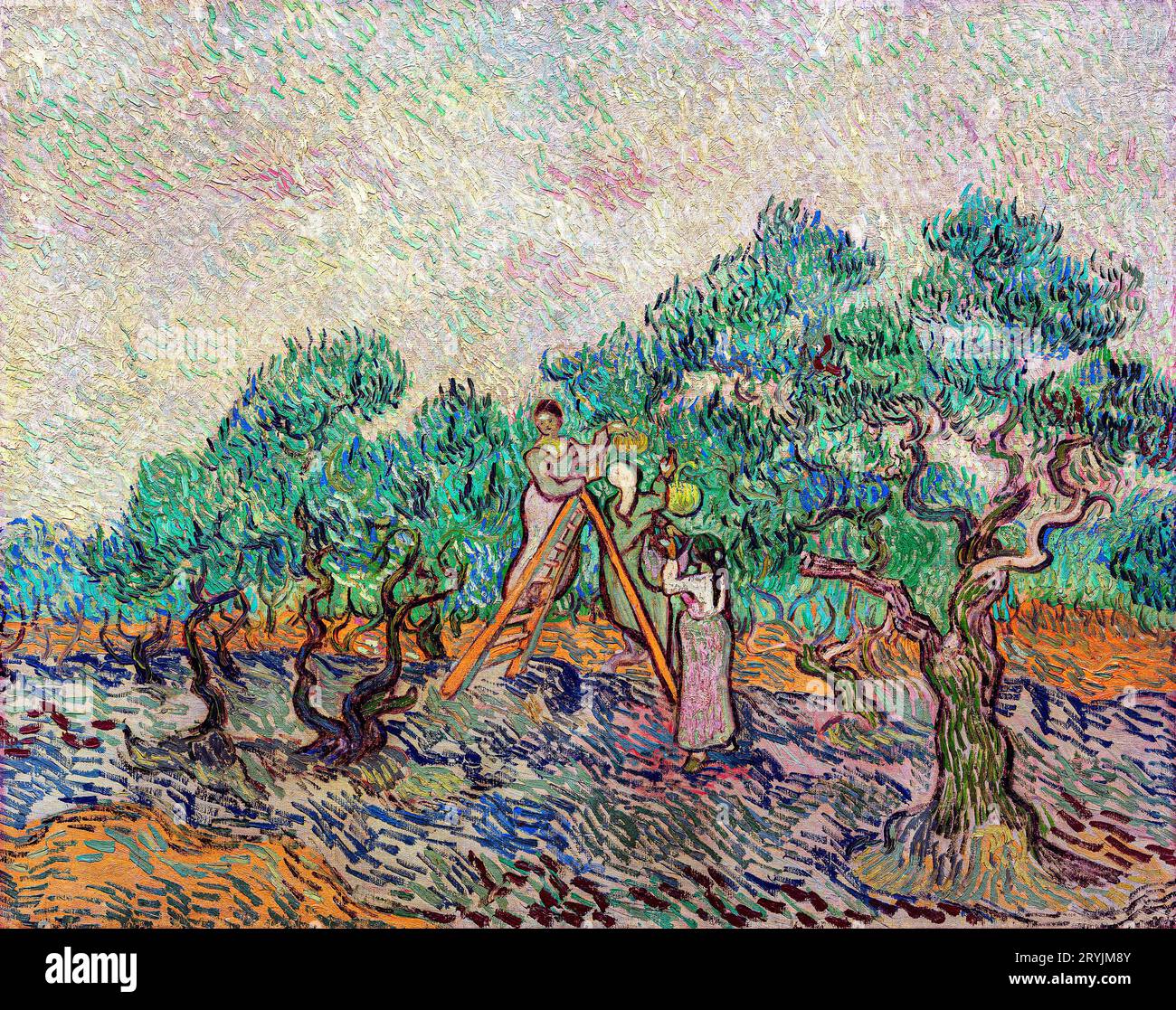 The Olive Orchard  Vincent van Gogh. Stock Photo
