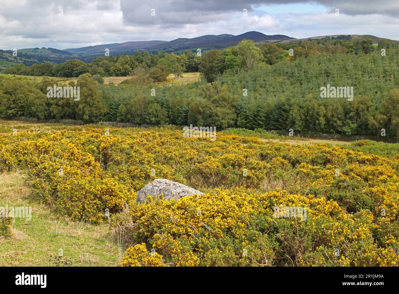 Views from Caer Drewyn Hillfort Corwen of the Berwyn mountain range Stock Photo