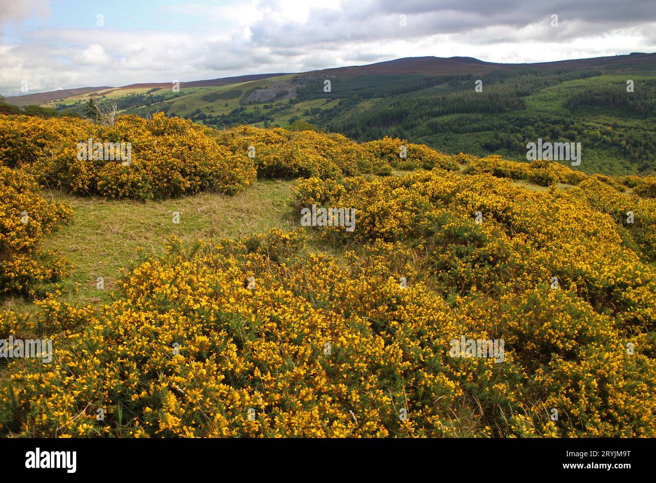 Views from Caer Drewyn Hillfort Corwen of the Berwyn mountain range Stock Photo