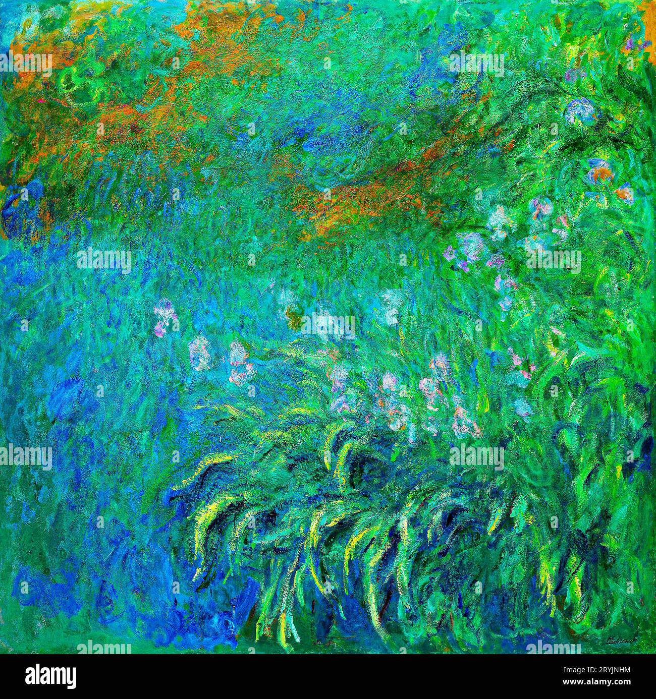 Irises (19141917) by Claude Stock Photo Alamy