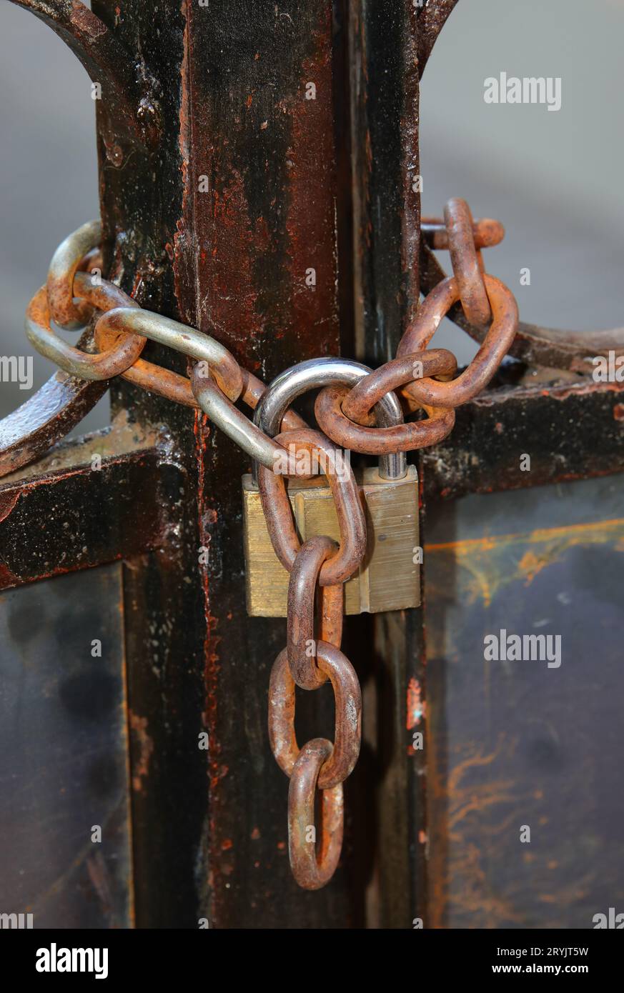 large padlock with rusty chain that securely closes an iron gate Stock Photo