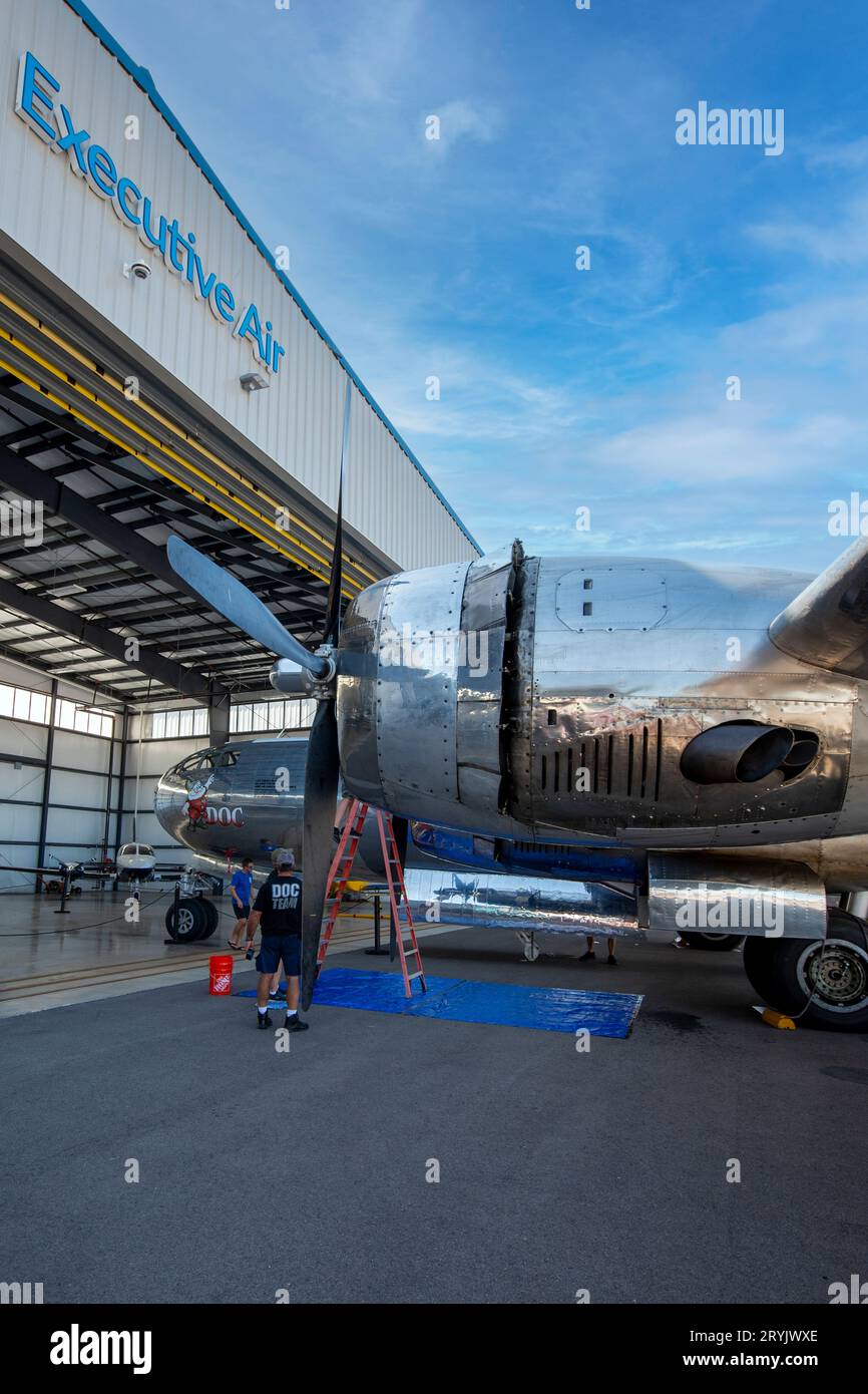 B29 