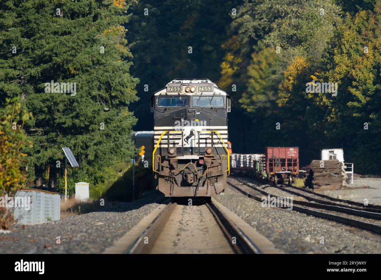 Skykomish, WA, USA - September 29, 2023; Norfolk Southern locomotive on freight train waits in Washington State in early fall Stock Photo