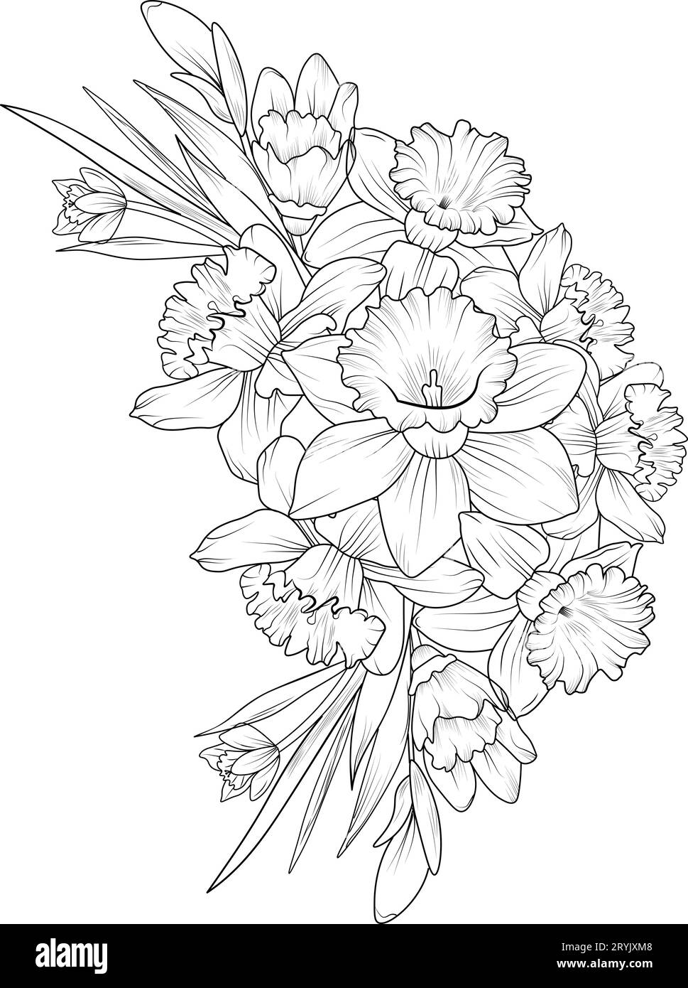 Dffodil flower coloring pages, daffodil drawings, yellow daffodil