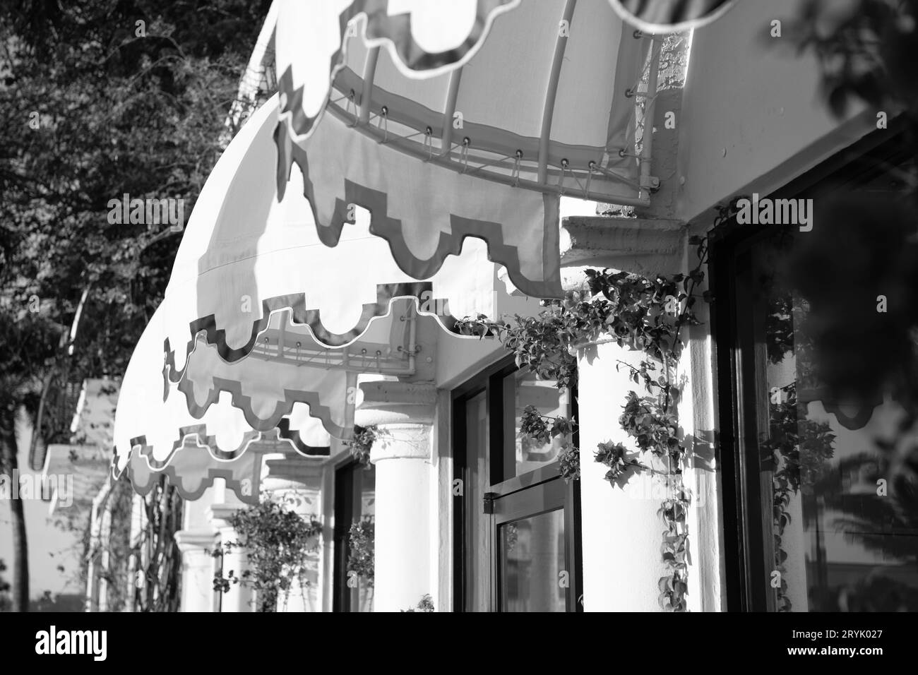 flower shop canopy or awning building facade Stock Photo Alamy