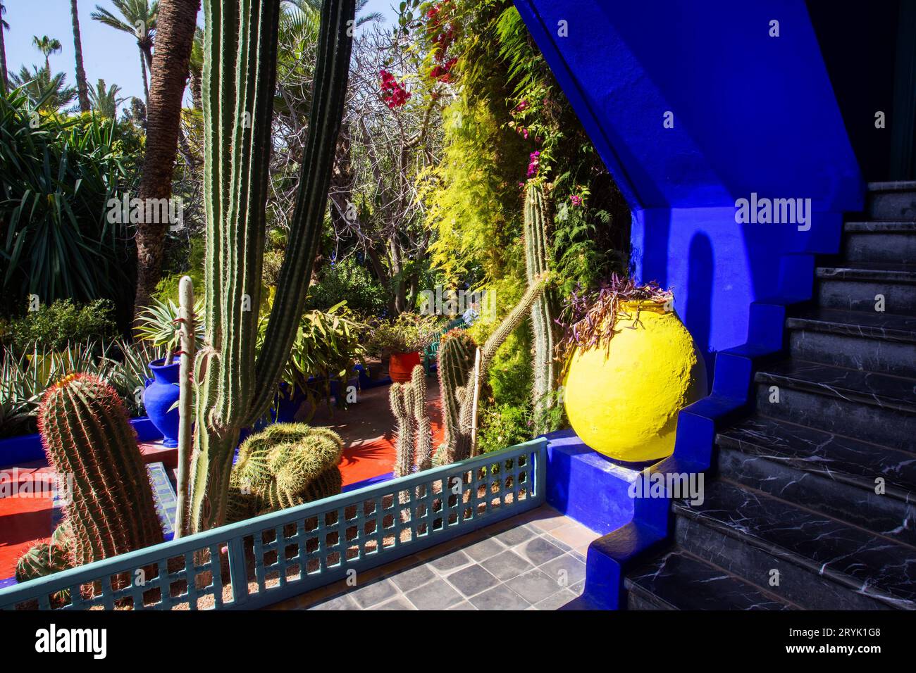 Amazing view on piece of blue building  and   different types of cacti in   Majorelle garden - local landmark in Marrakesh Stock Photo