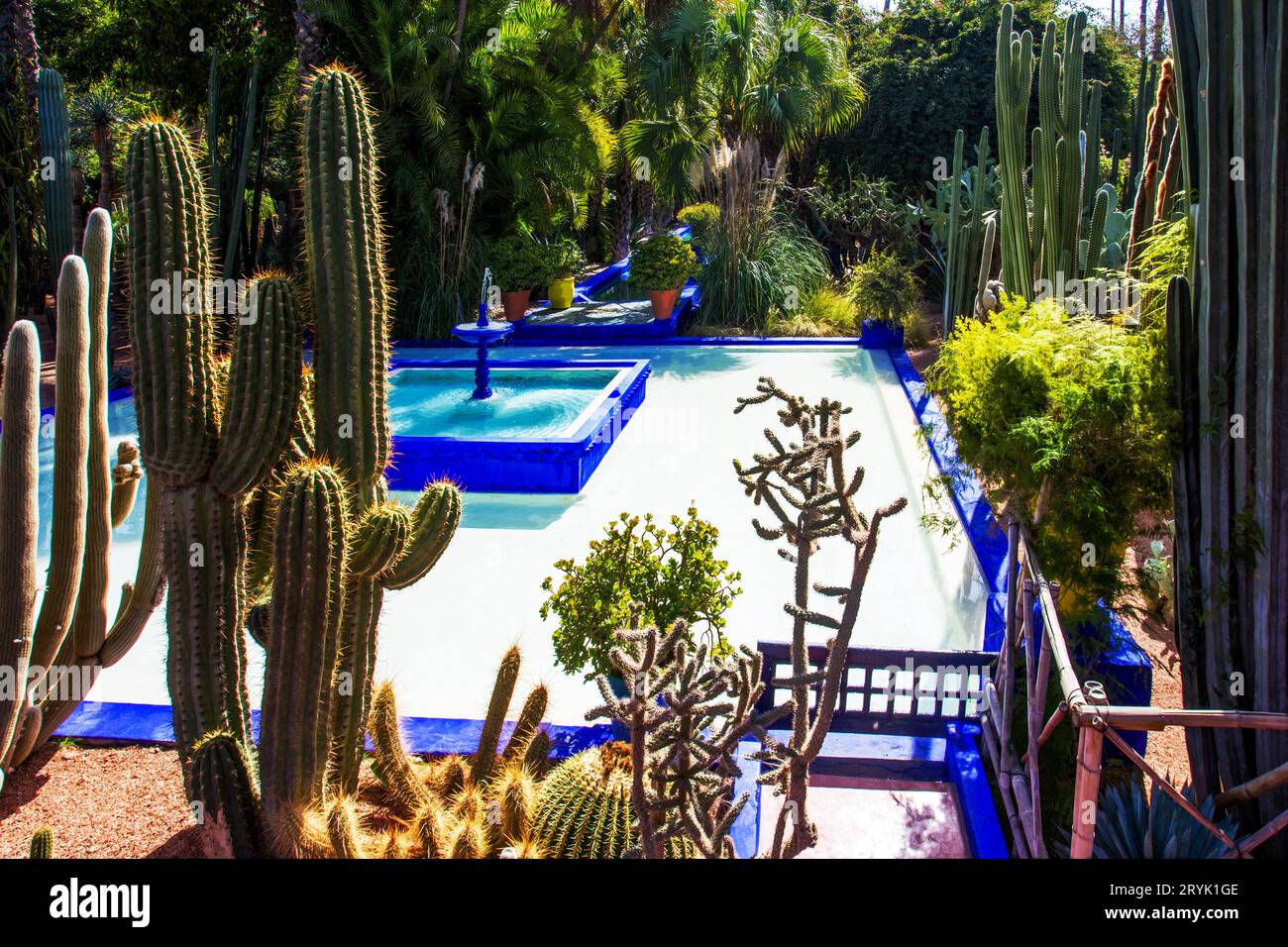 Amazing view on pool and   different types of cacti in   Majorelle garden (local landmark) in Marrakesh. Stock Photo
