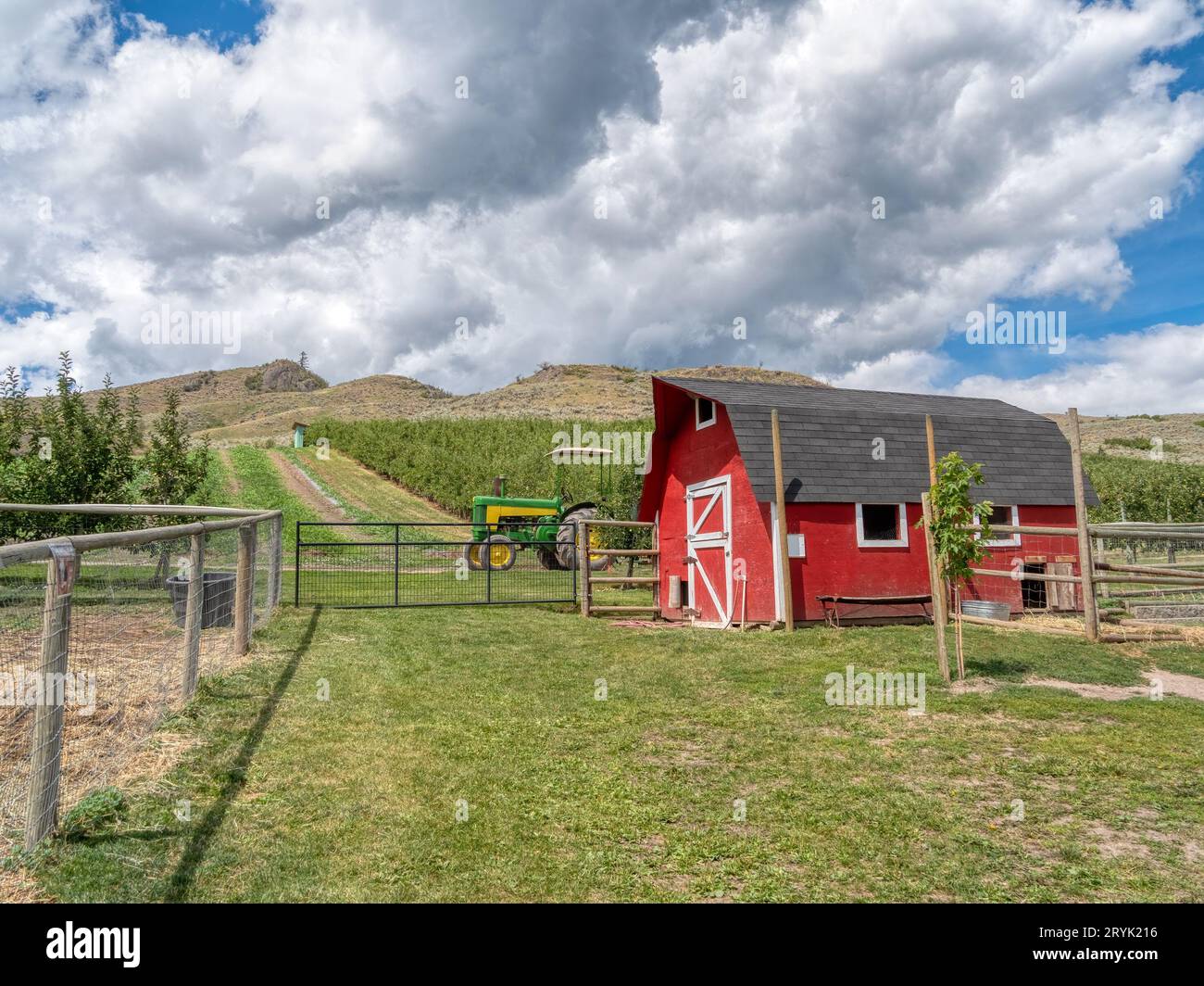 Orchard farm with small red barn and tractor on the field Stock Photo