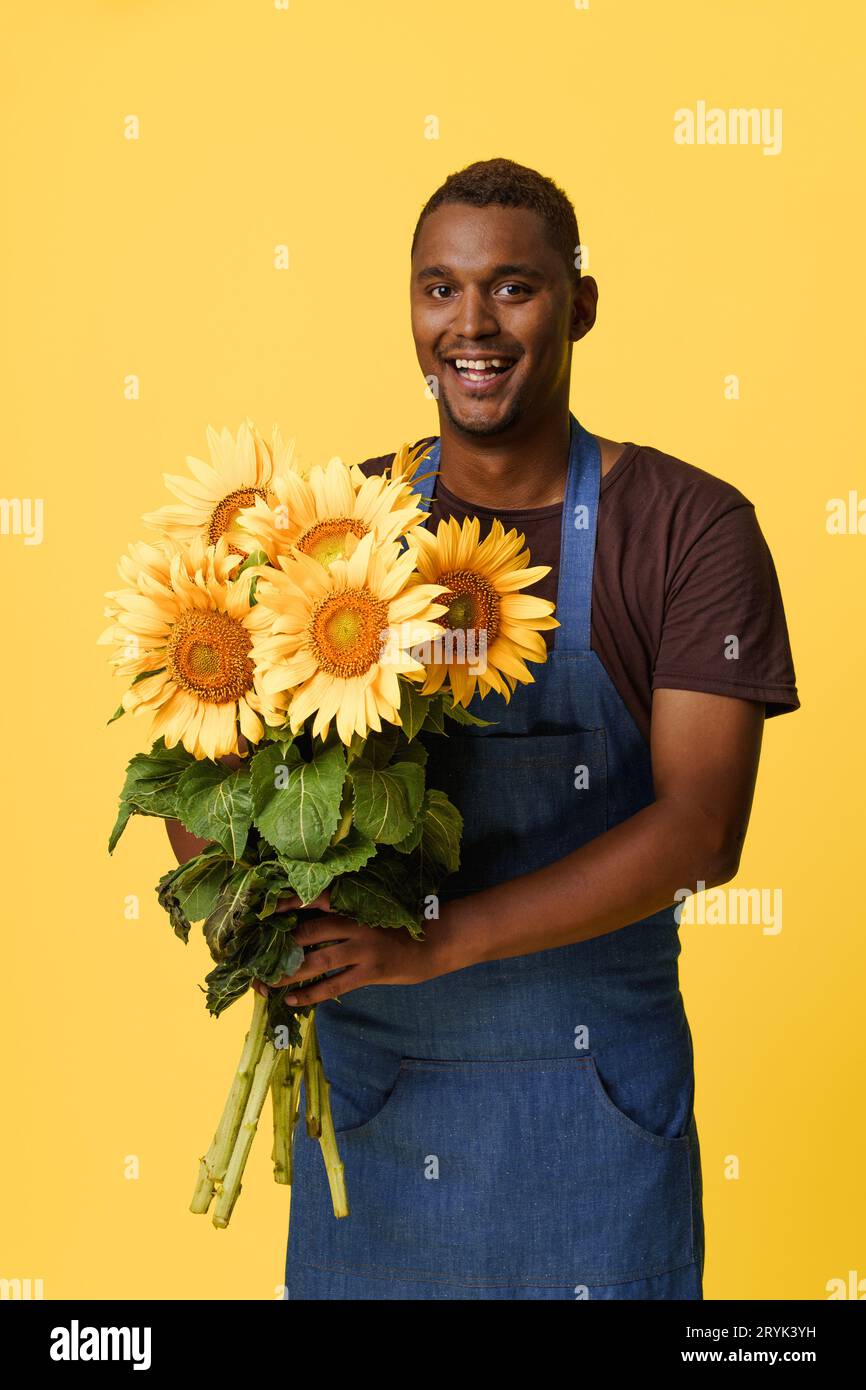 Happy African man wearing blue apron and holding sunflowers with copy space on yellow background. Concept for nature, plant care Stock Photo