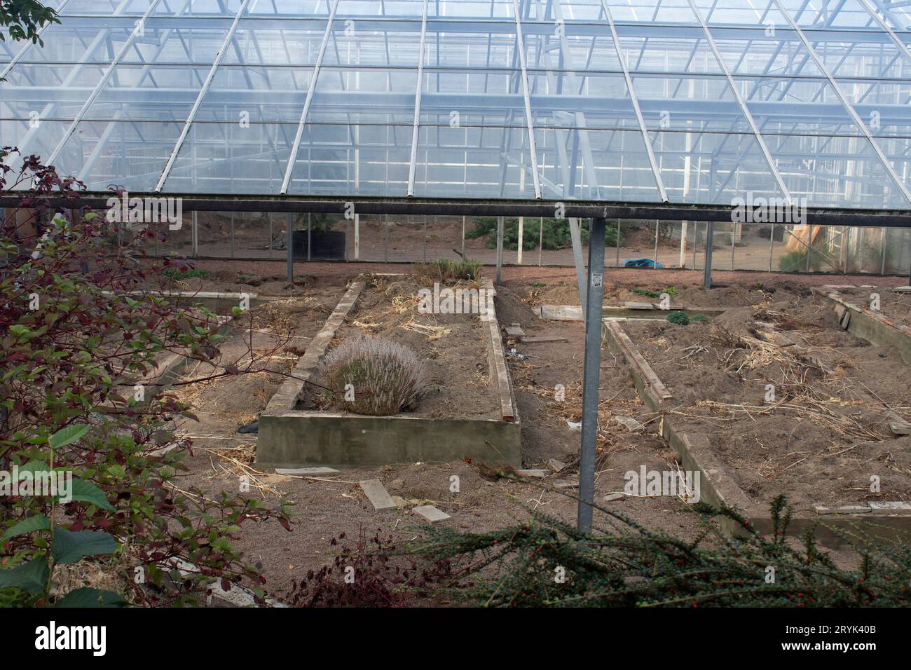 Greenhouse being replaced in Gothenburg Botanical Garden Gothenburg, Sweden Stock Photo Alamy