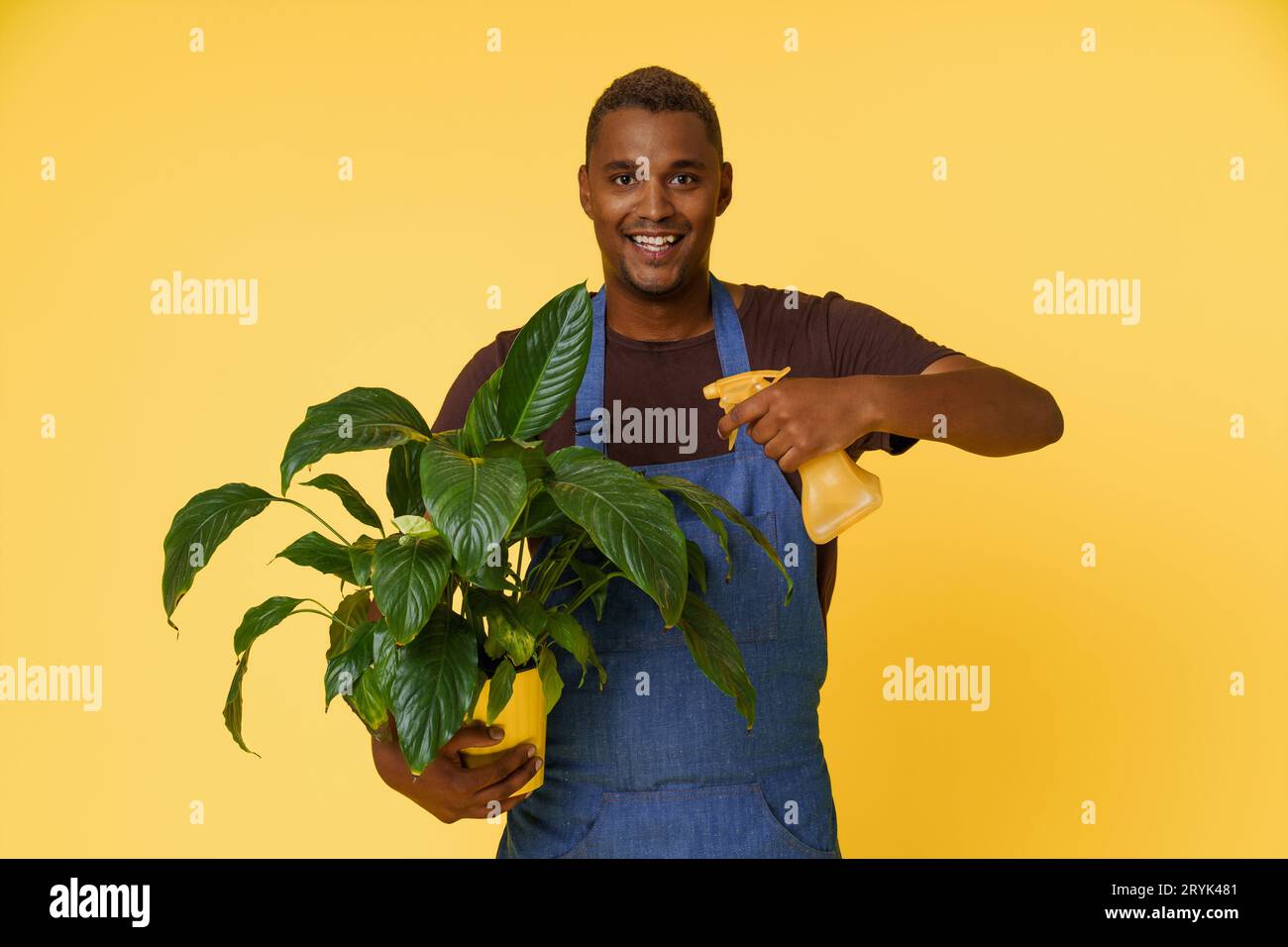 Happy African man splashing water on home flower with copy space on yellow background. Concept for nature, plant care, and garde Stock Photo